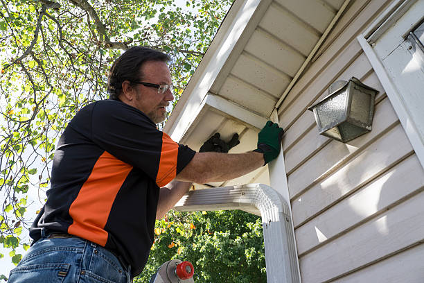 ### Siding for New Construction in Washington, DC